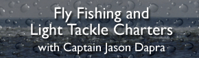 Fly Fishing and Light Tackle Charters with Captain Jason Dapra